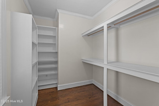 spacious closet featuring wood finished floors