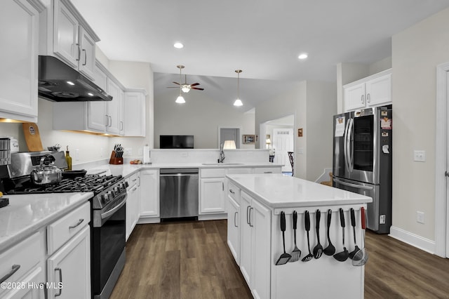 kitchen with under cabinet range hood, a kitchen island, a sink, light countertops, and appliances with stainless steel finishes