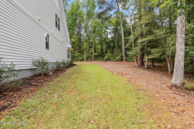 876 Elderberry Dr, Vass, NC 28394 - view of yard
