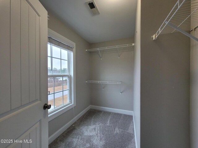 walk in closet featuring carpet flooring and visible vents