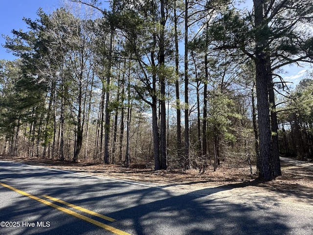 TBD Cliff Gibson Rd, Laurel Hill NC, 28351 land for sale