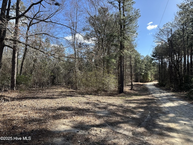 Listing photo 2 for TBD Cliff Gibson Rd, Laurel Hill NC 28351