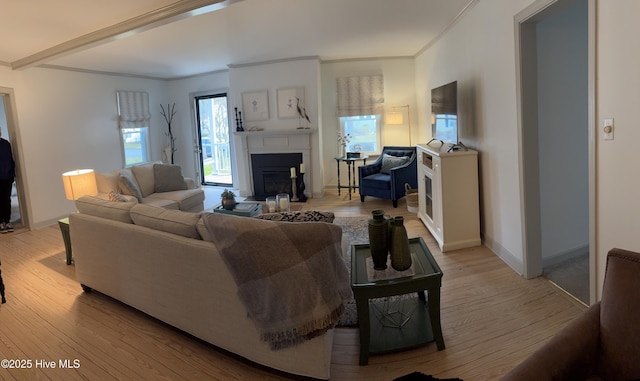 living area with light wood-style floors, a fireplace, and crown molding