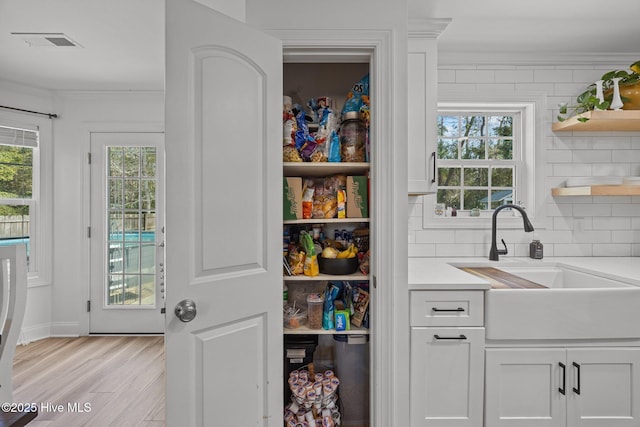 pantry featuring visible vents and a sink