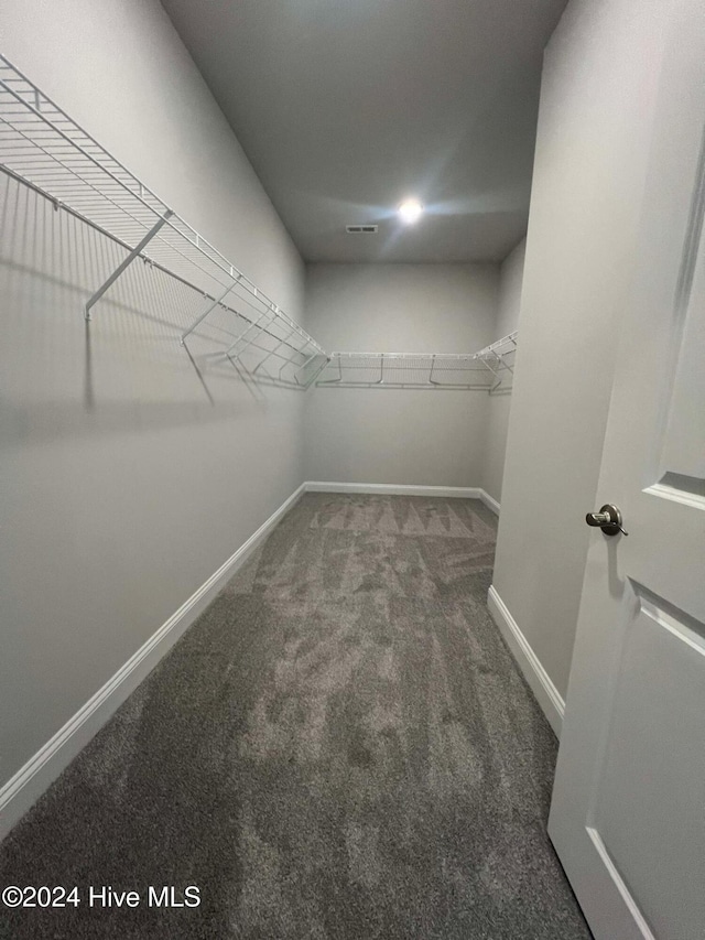 spacious closet featuring carpet floors and visible vents