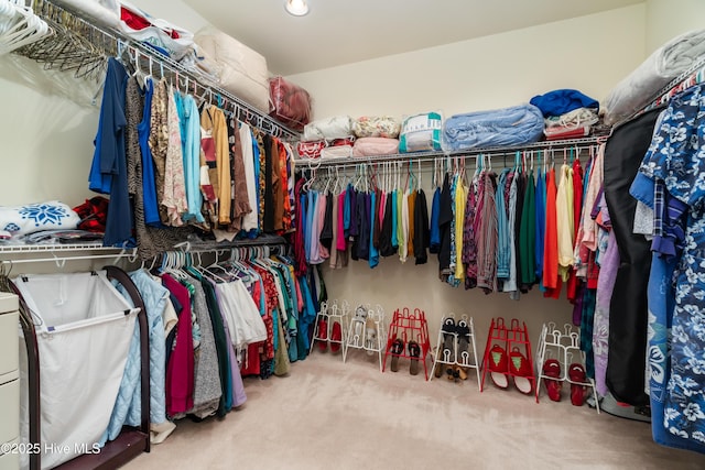 spacious closet with carpet flooring