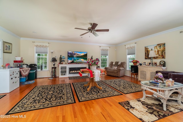 living area featuring ornamental molding, wood finished floors, a wealth of natural light, and a lit fireplace