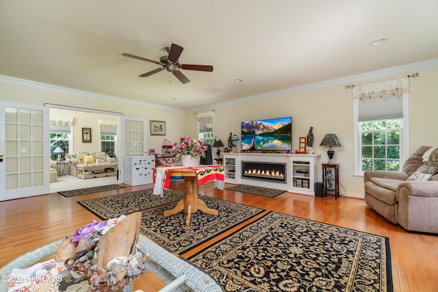 living room with a warm lit fireplace, crown molding, ceiling fan, and wood finished floors