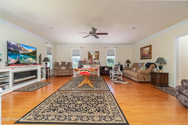 living room featuring a glass covered fireplace, crown molding, wood finished floors, and a ceiling fan