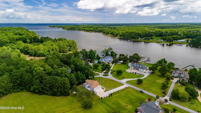 birds eye view of property featuring a view of trees and a water view