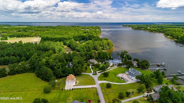 aerial view with a water view and a wooded view