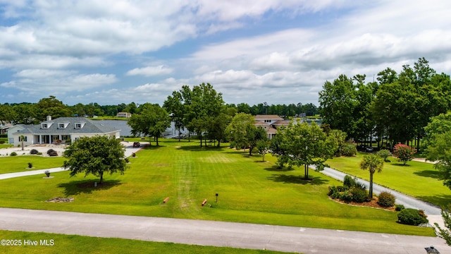 view of community with a yard