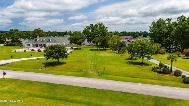 view of community with a yard