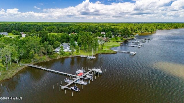 aerial view with a view of trees and a water view