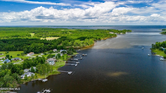 bird's eye view featuring a forest view and a water view