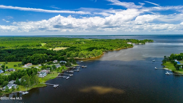 bird's eye view with a view of trees and a water view