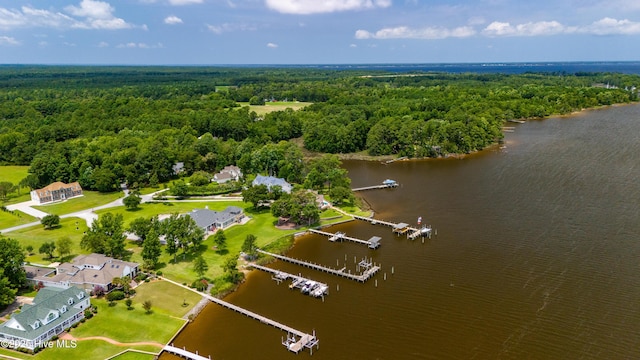 birds eye view of property featuring a view of trees and a water view