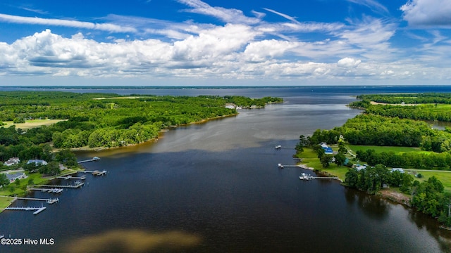 birds eye view of property featuring a wooded view and a water view