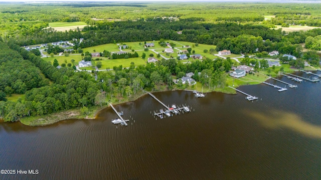 bird's eye view with a water view and a wooded view