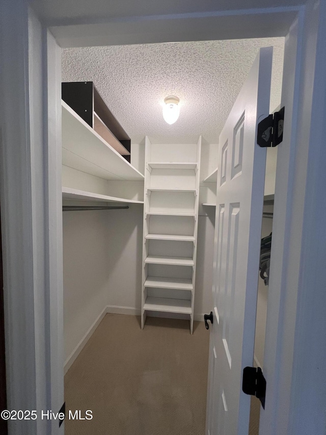 walk in closet featuring carpet