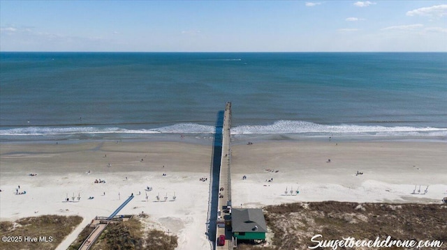 property view of water featuring a beach view