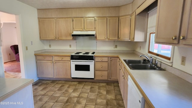 kitchen featuring white appliances, light countertops, light brown cabinetry, under cabinet range hood, and a sink