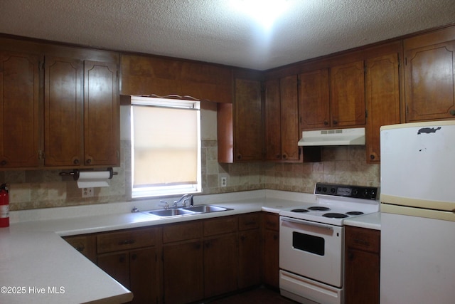 kitchen with under cabinet range hood, white appliances, a sink, light countertops, and decorative backsplash