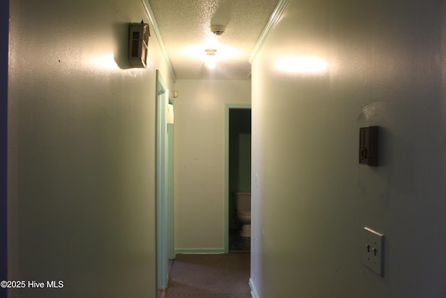 corridor featuring carpet floors and a textured ceiling