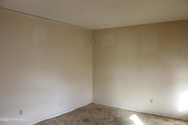 spare room with light carpet and crown molding