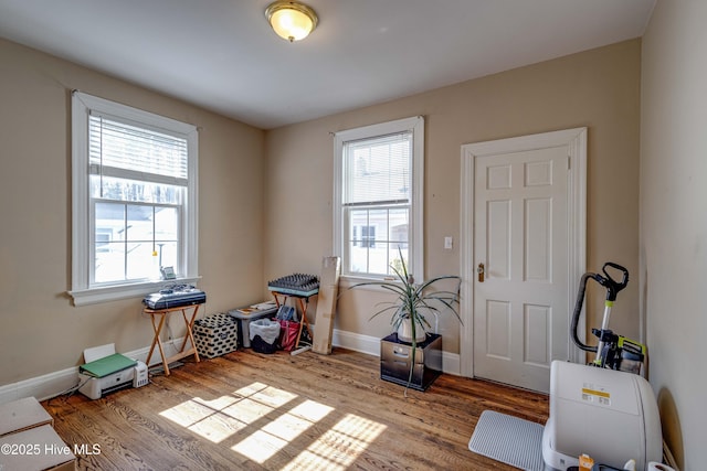 miscellaneous room featuring a wealth of natural light, baseboards, and wood finished floors