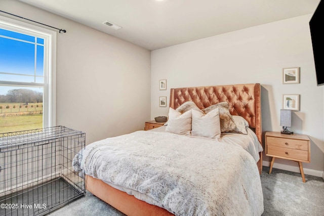 bedroom featuring carpet flooring, visible vents, and baseboards