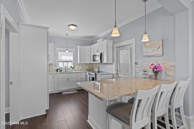 kitchen with dark wood-style floors, white cabinetry, a peninsula, and stainless steel appliances