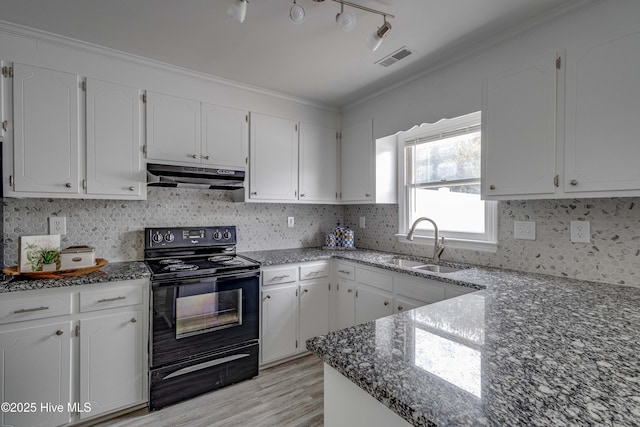 kitchen featuring black electric range oven, a sink, white cabinetry, and under cabinet range hood