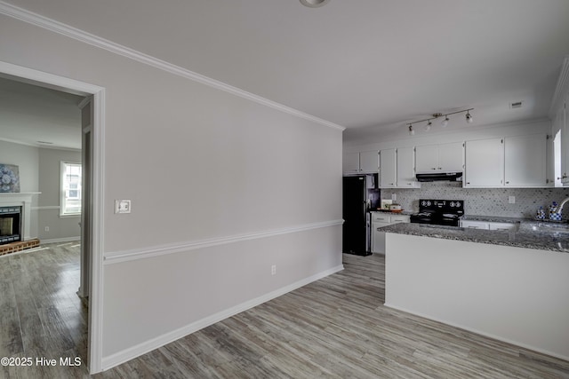 kitchen featuring under cabinet range hood, decorative backsplash, black appliances, a glass covered fireplace, and crown molding