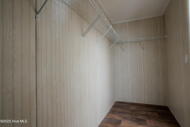 spacious closet with wood finished floors