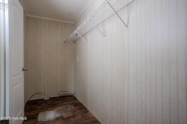 walk in closet featuring dark wood-style floors