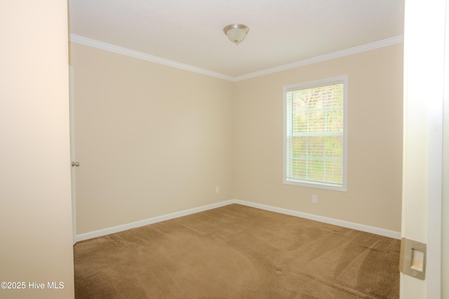 carpeted spare room with baseboards and crown molding