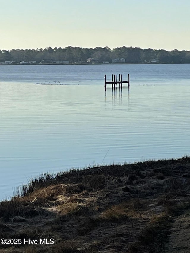 property view of water featuring a dock