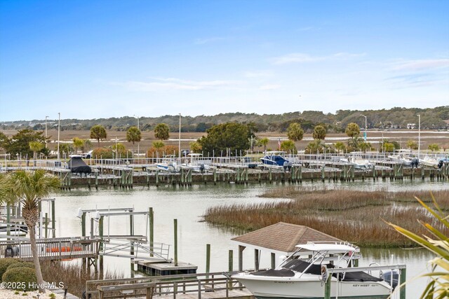 dock area featuring a water view
