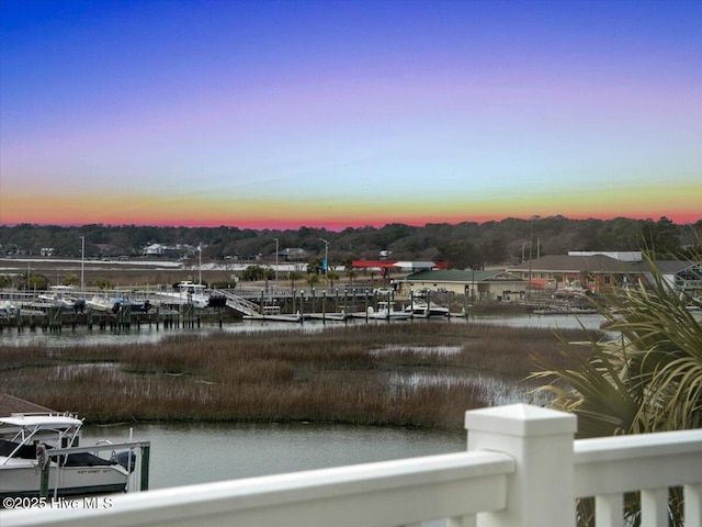 water view featuring a dock