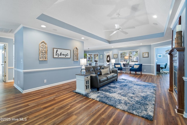 living area featuring baseboards, a raised ceiling, and dark wood-type flooring