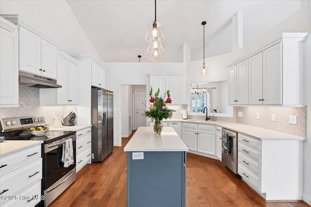 kitchen with wood finished floors, a kitchen island, under cabinet range hood, appliances with stainless steel finishes, and white cabinetry