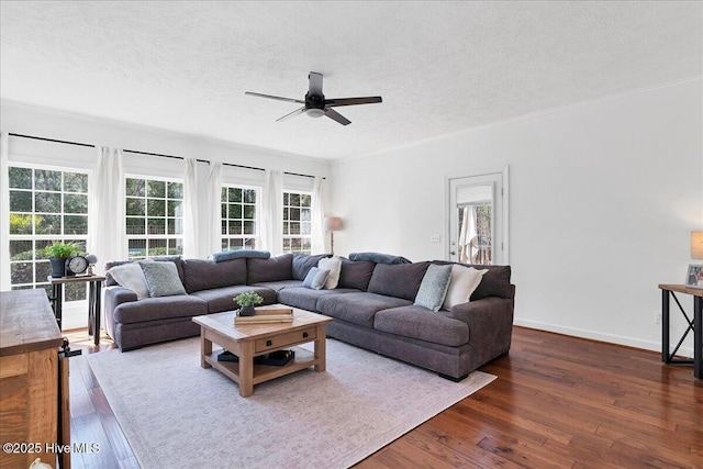 living area with a wealth of natural light, dark wood-style floors, and a textured ceiling