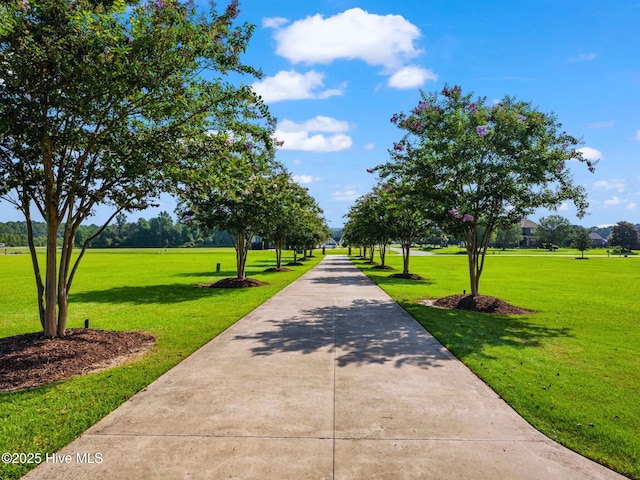 surrounding community featuring a yard