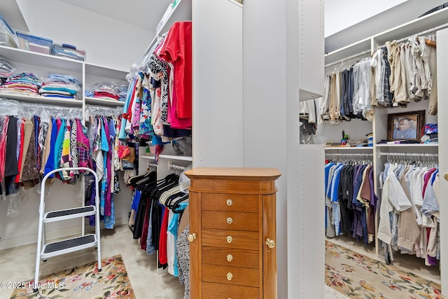 view of walk in closet