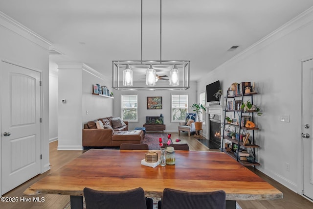 dining area with a fireplace with flush hearth, visible vents, crown molding, and wood finished floors