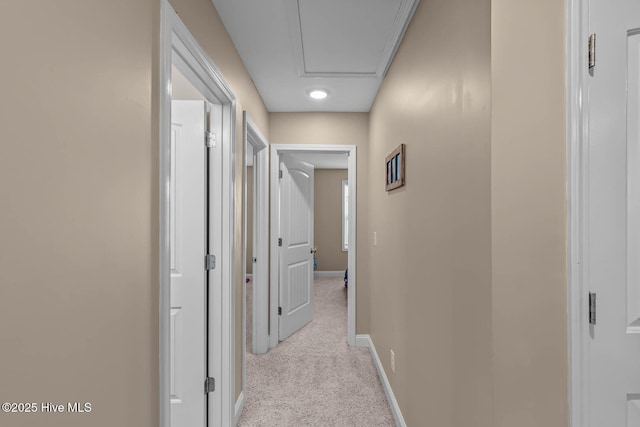 corridor with light colored carpet and baseboards