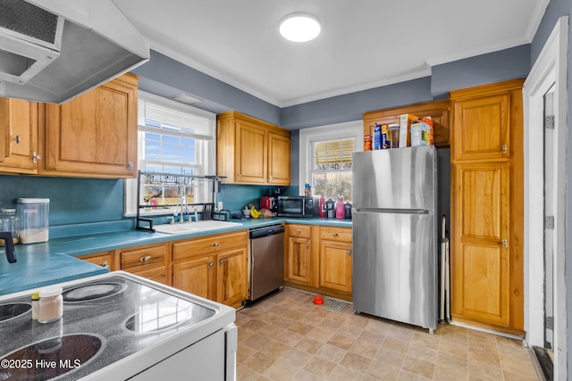 kitchen with stainless steel appliances, exhaust hood, a sink, and a healthy amount of sunlight