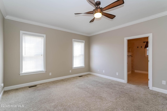 spare room featuring visible vents, carpet flooring, and ornamental molding