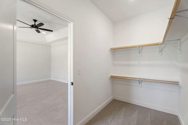 4506 Fairhaven Dr W, Wilson, NC 27893 - spacious closet with carpet floors and a ceiling fan